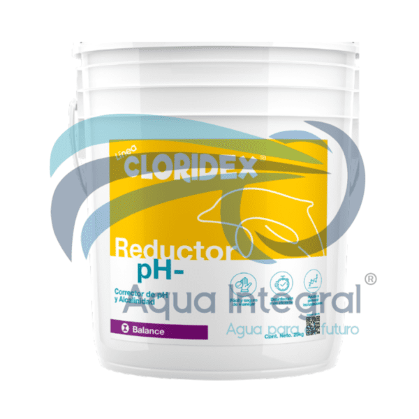 Reductor de pH Acidet x 25 Kg