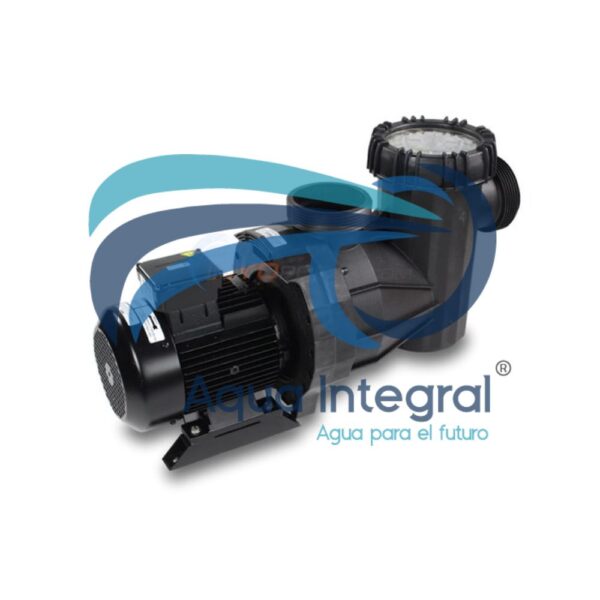 Motobomba para piscina 95 de 7,5 HP Speck Pump - Imagen 2