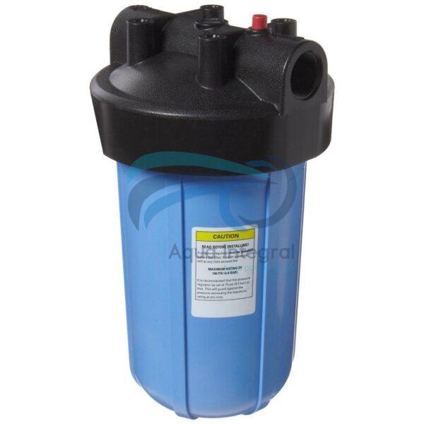 Carcasa para filtro de agua Big Blue 10"  conexión 1" negro/azul pentair
