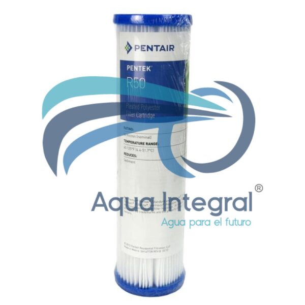 Cartucho para filtro de agua R50 10 "Pentair poliester plisado