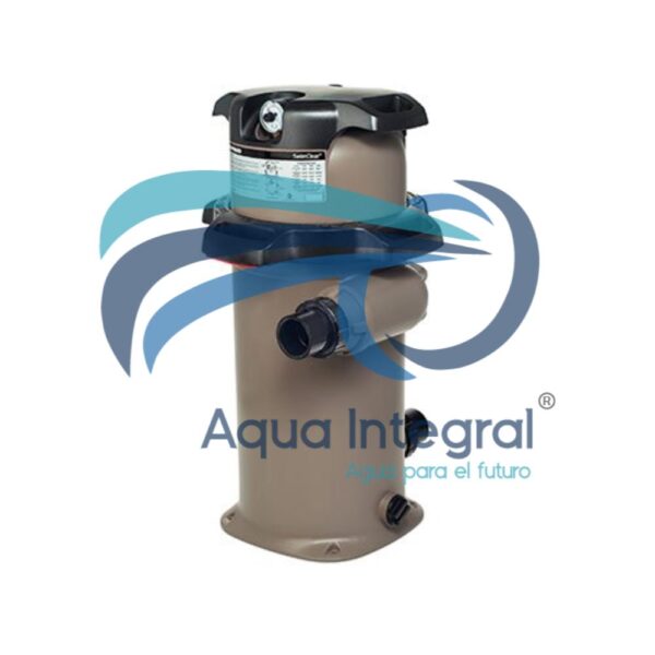 Filtro De Cartucho Hayward Swim Clear C100S para piscina